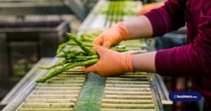 person sorting asparagus on assembly line