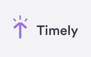 Timely Logo